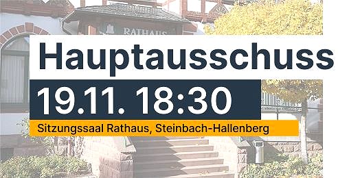 2. Sitzung des Haupt- und Finanzausschusses der Stadt Steinbach-Hallenberg